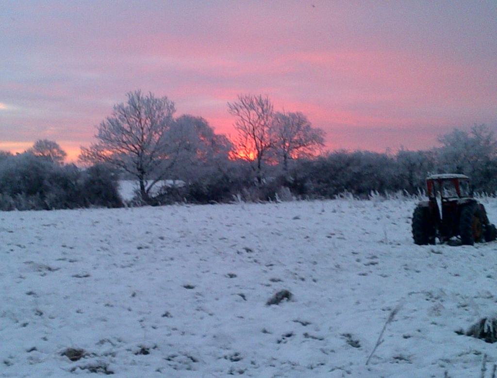 'Waingroves Common' before the Heras Fencing went in